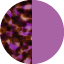 Viola marmorizzato Viola crystal